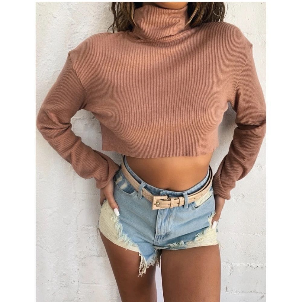 Tiger Mist - Sugar Ribbed Cropped Turtleneck (Large)